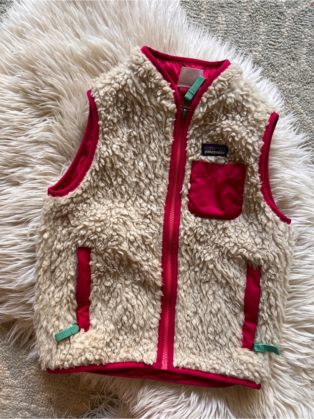 Patagonia retro x fleece vest